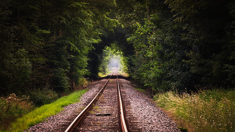 Train Track, railroad, train, track, nature, HD wallpaper
