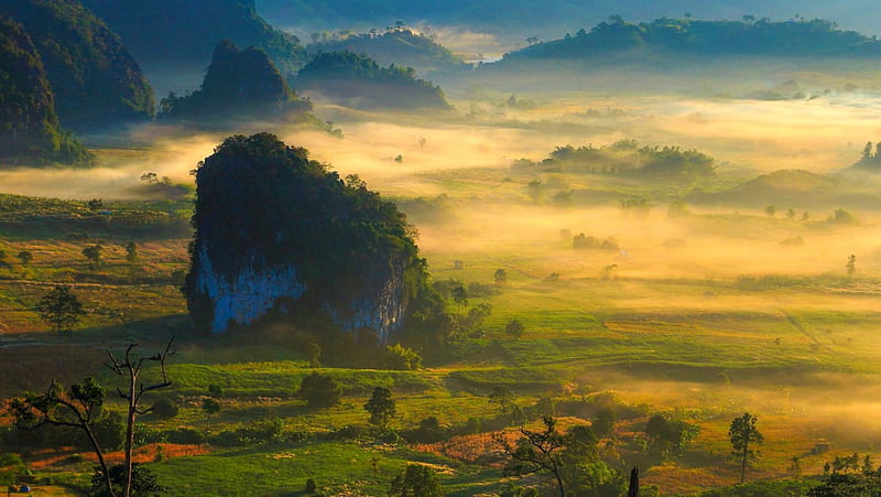 Morning Fog, hills, forest, Thailand, grass, bonito, trees, fog, green, prairie, sunrise, limestone rock, field, HD wallpaper