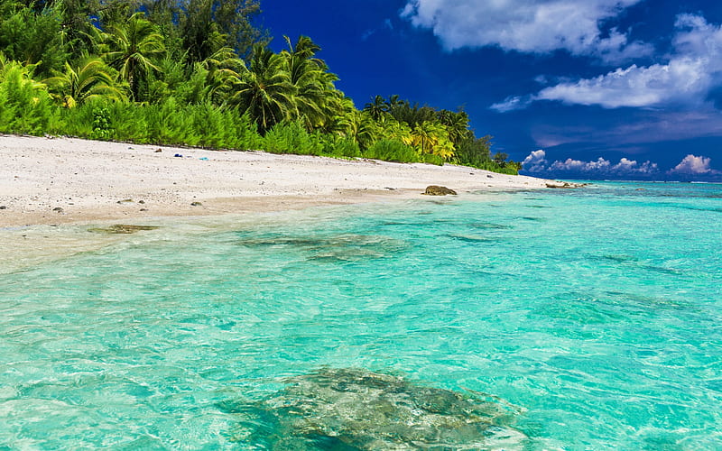 tropical islands, beach, palm trees, sand, azure water, ocean, Maldives, HD wallpaper