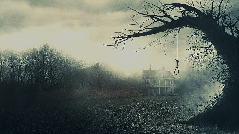 Movie, The Conjuring, HD wallpaper