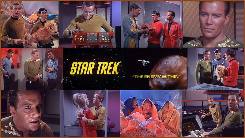The Enemy Within Original Version, Good Kirk, Sulu, Star Trek, McCoy, Evil Kirk, Spock, HD wallpaper