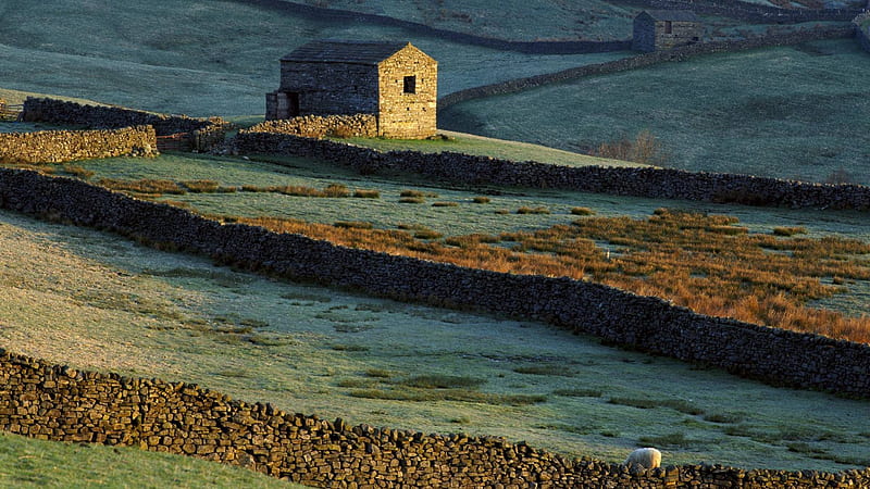 stone walls in yorkshire england, fields, cabin, walls, stone, HD wallpaper