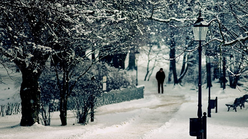 Walk down a Winter Lane, tree, winte, snow, bench, bonito, man, lane, white, HD wallpaper