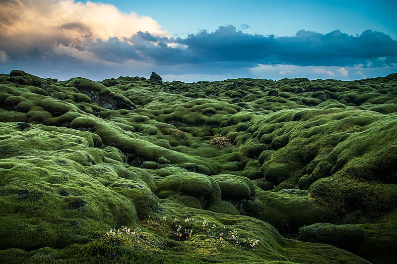 Ireland's Landscape, rocks, moss, ireland, landscape, HD wallpaper