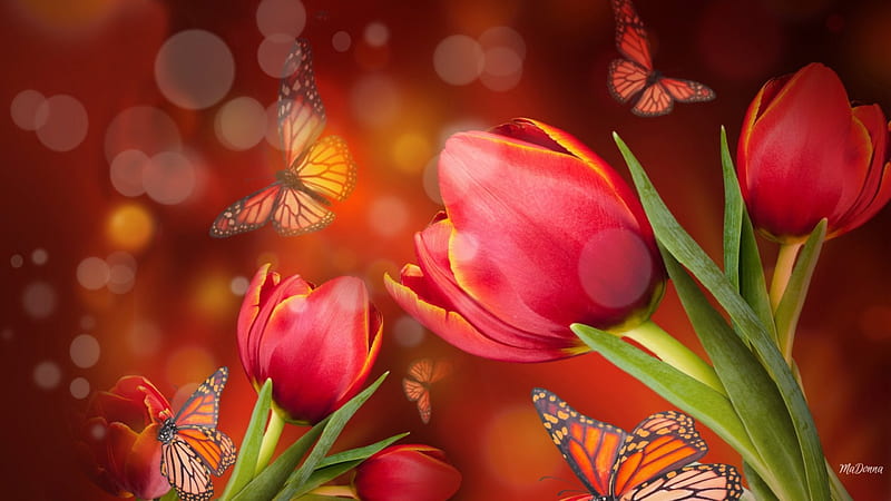 Tulip Mirage, red, orange, butterflies, spring, abstract, bokeh, crimson, bright, hot, flowers, garden, tulips, HD wallpaper