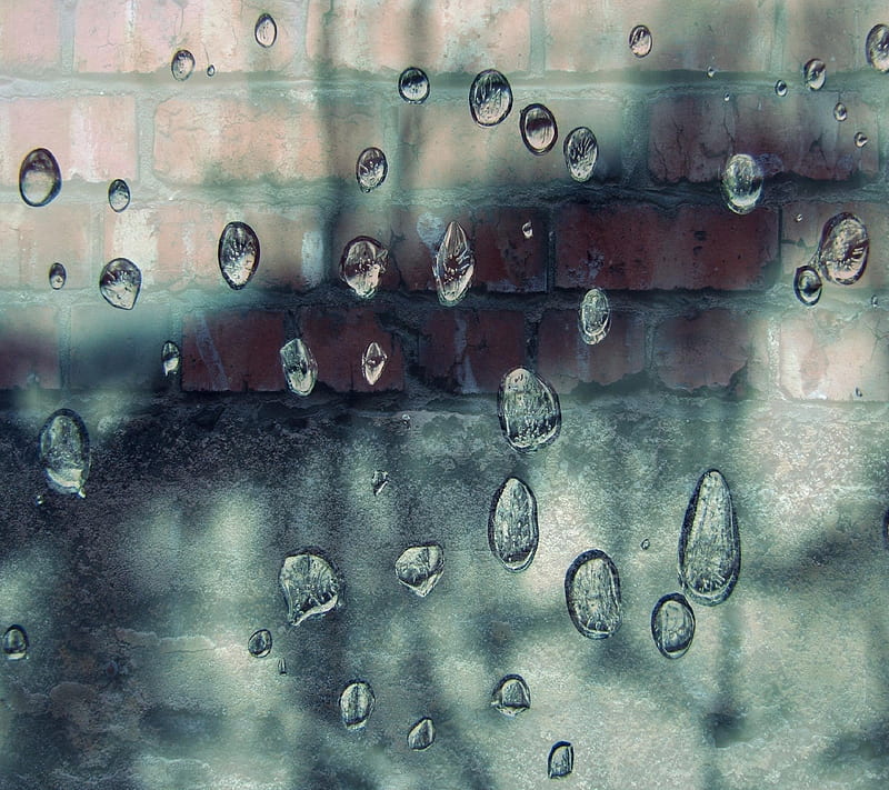 Drops, brick, brick wall, drops effect, wall, water drops, HD wallpaper