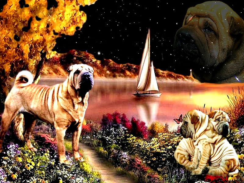 FLOWERS, frame, 2012, color, nature, sharpei, HD wallpaper