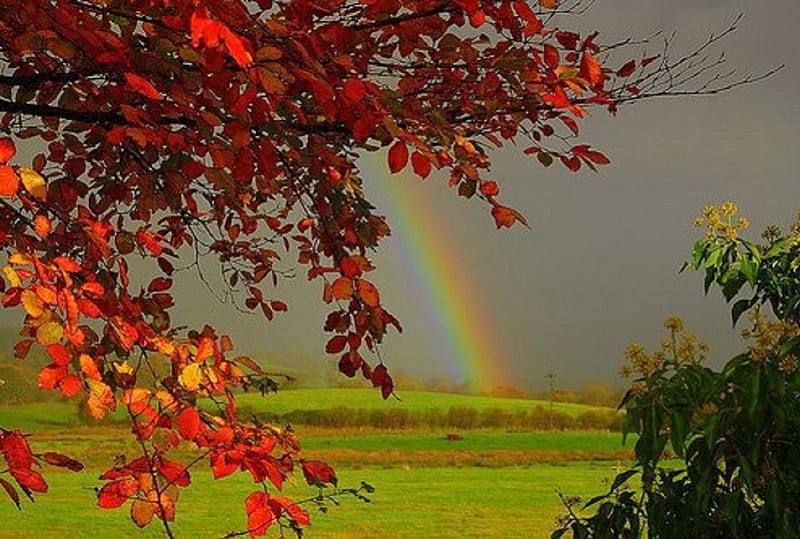 HD fall rainbow wallpapers