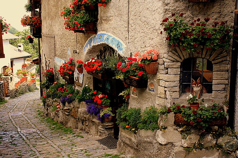 Lovely La Rue, flowers, cobbled street, street, buildings, HD wallpaper