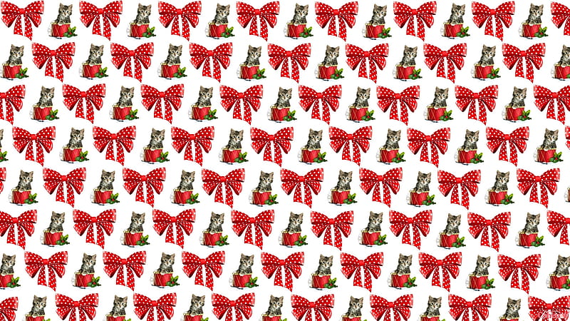Christmas texture, pattern, red, craciun, christmas, drum, by cehenot, bow, cat, animal, cute, texture, paper, kitten, white, pisica, HD wallpaper