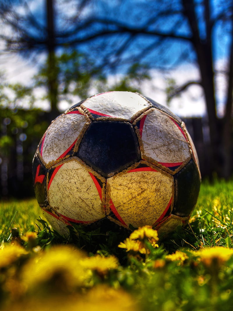 Ball, birds, black, blue, cristiano, background, football, football ...