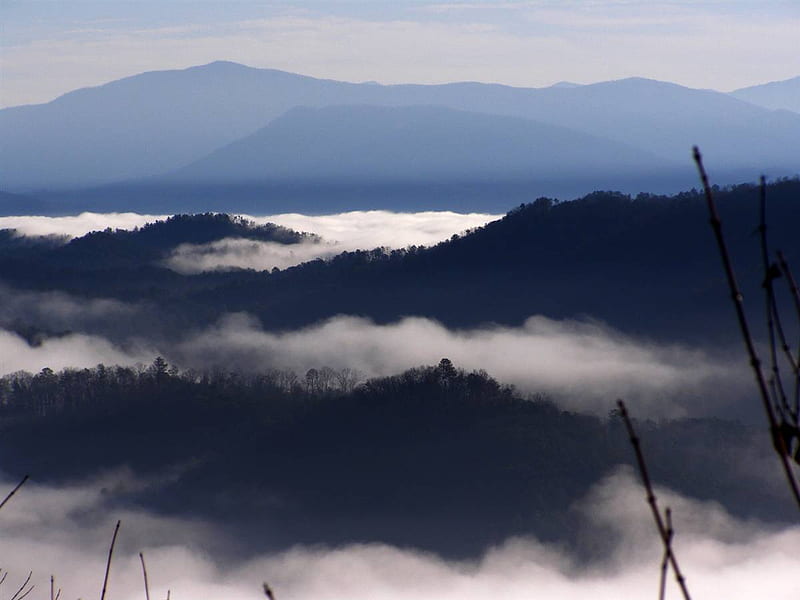Great Smoky Mountains, nature, great, smokey, mountains, HD wallpaper