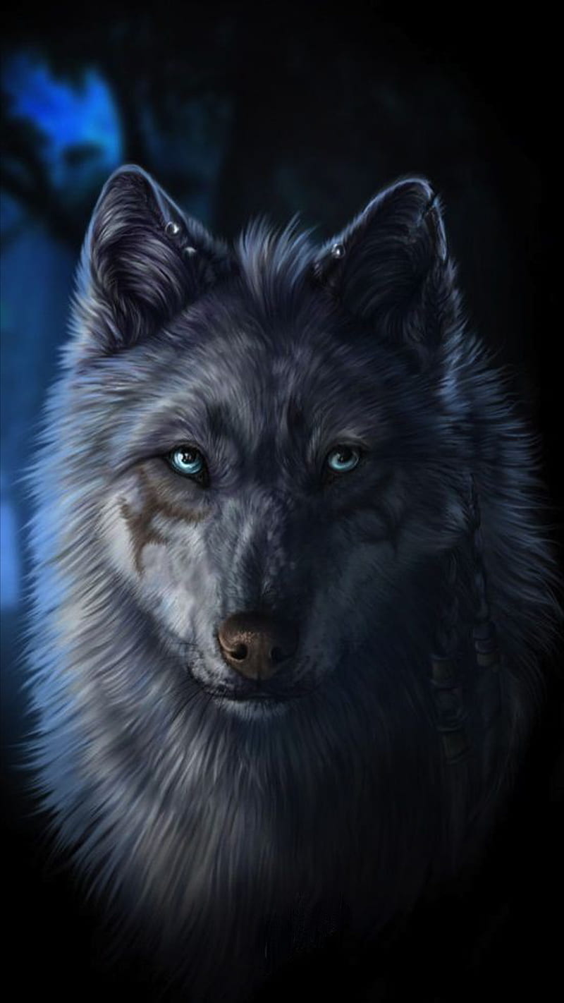 Wolf, animals, face, fantas, HD phone wallpaper | Peakpx