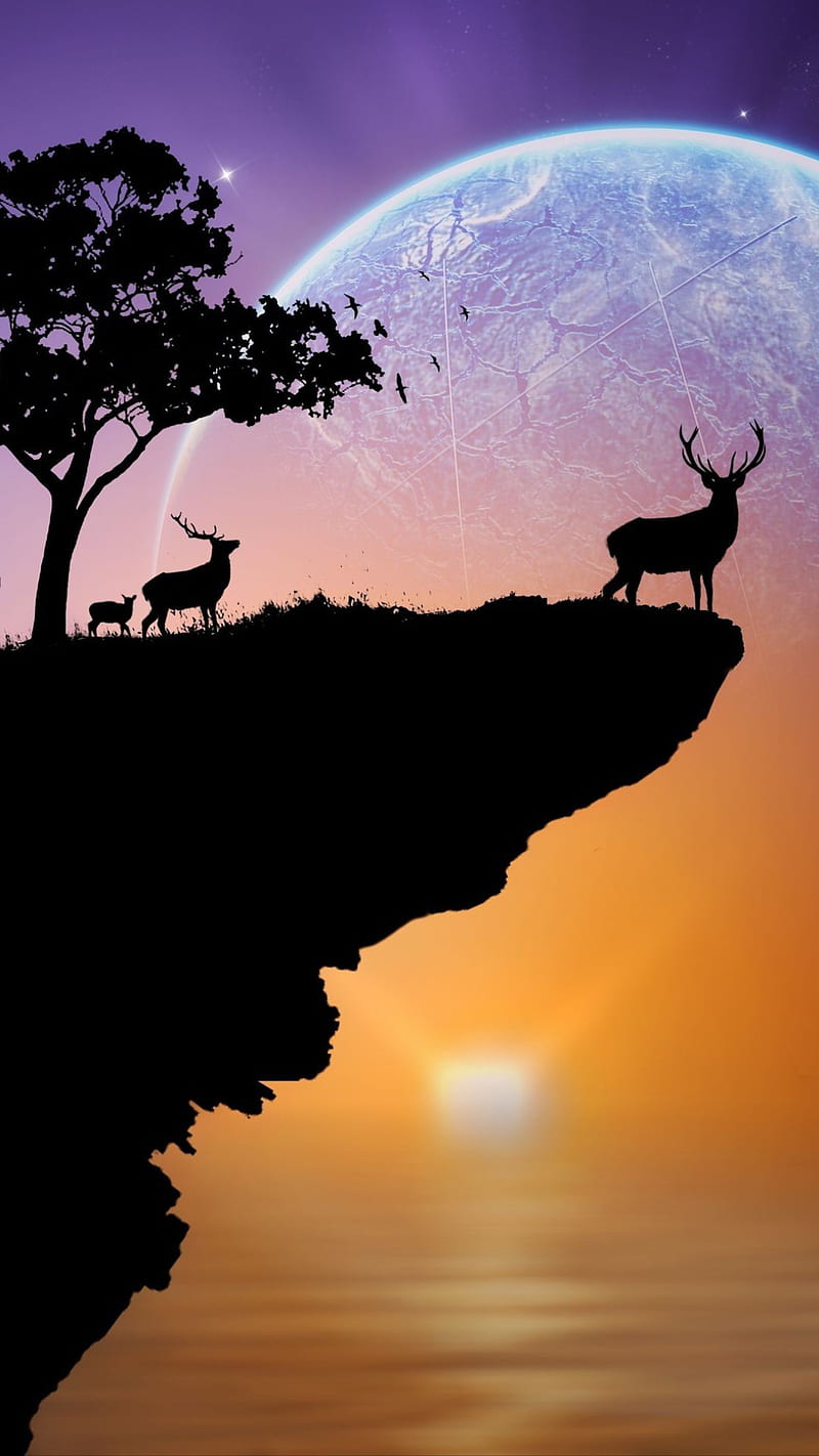 Deer, animal, fantasy, moon, silhoutte, space, star, sunset, tree, HD phone wallpaper