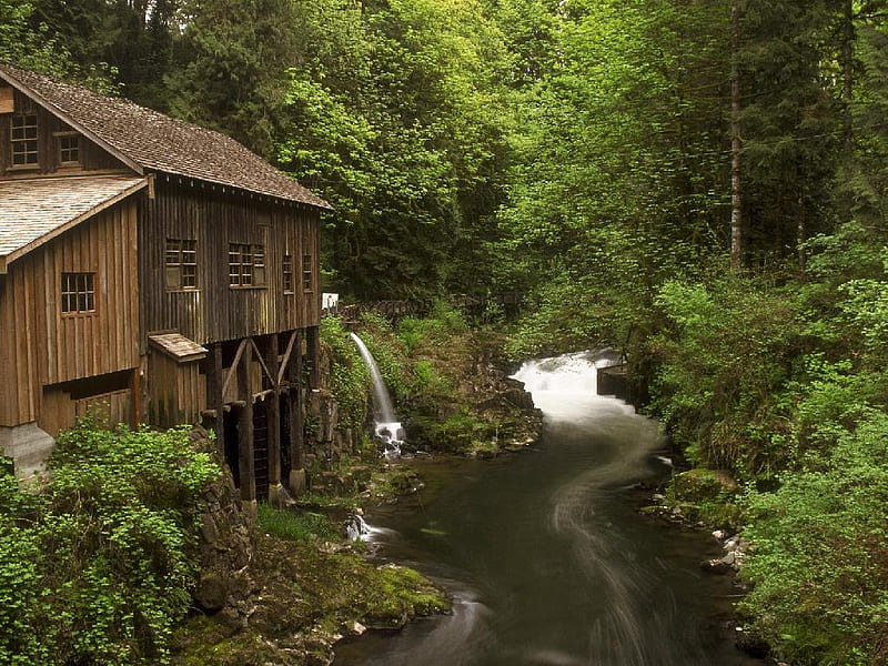 watermill, near, house, mill, washington, vancouver, creek, grist, nature, forests, cedar, HD wallpaper