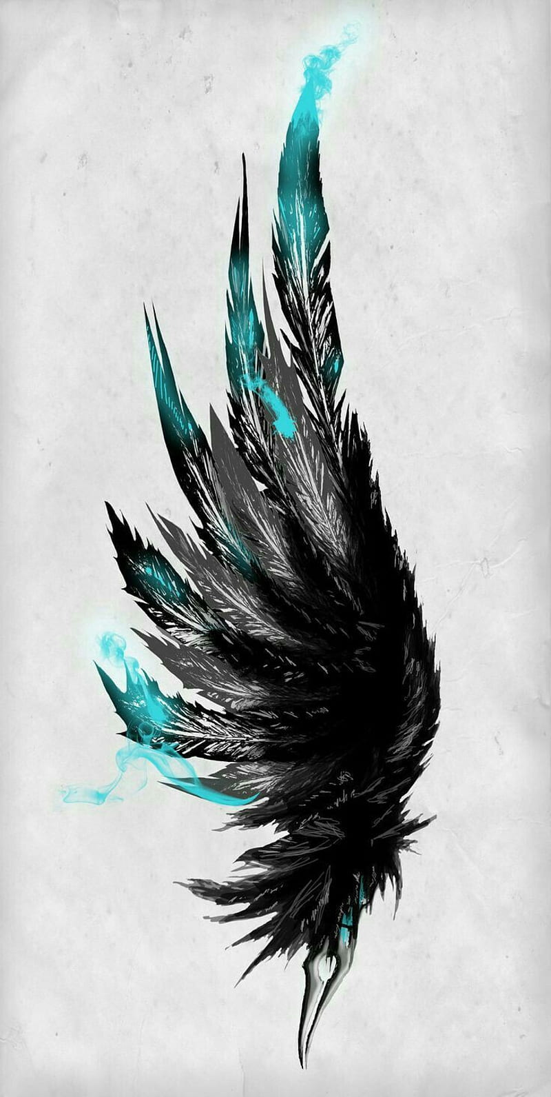 Wings, blue, feathers, HD phone wallpaper