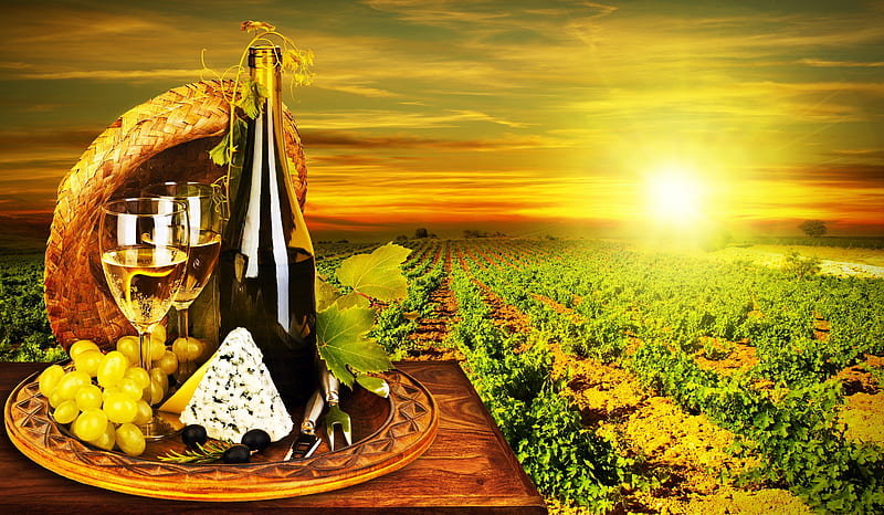 Grape field, glass, food, wine, bottle, drink, nature, sunrise, HD wallpaper