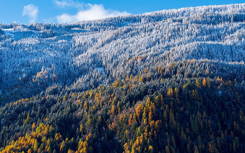 mountain landscape, winter, snow, snowy trees, blue sky, mountains, seasons concepts, HD wallpaper