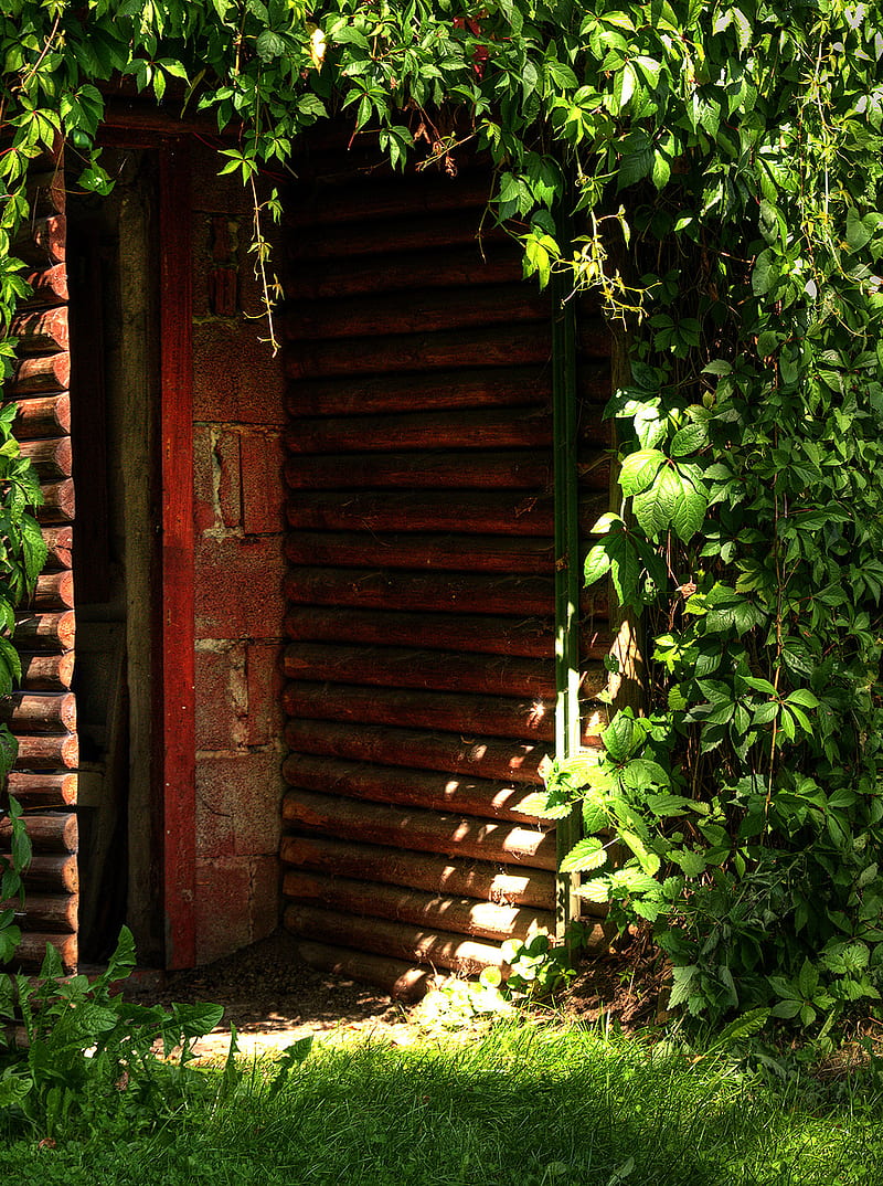 Secret Garden, door, green, HD phone wallpaper