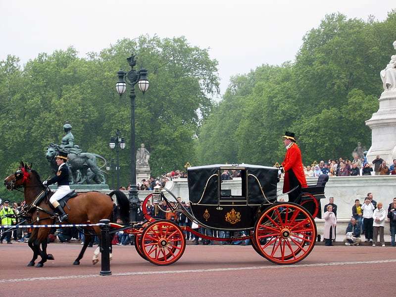 Carriage during UK vacation 03, graphy, brown, black, horses, carriage, HD wallpaper
