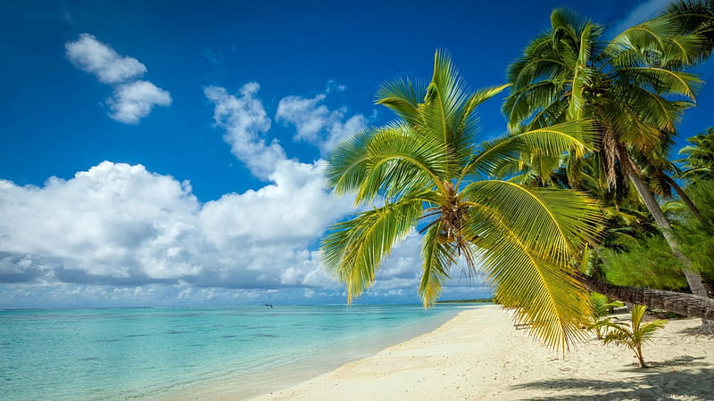 Tropical Paradise, white sand, pristine, Cook Islands, bonito, clouds, palm trees, sea, beach, paradise, summer, tropical, HD wallpaper
