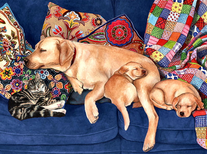 Snooze Time F, art, quilt, bonito, pets, illustration, artwork, canine, animal, feline, painting, wide screen, cats, dogs, HD wallpaper