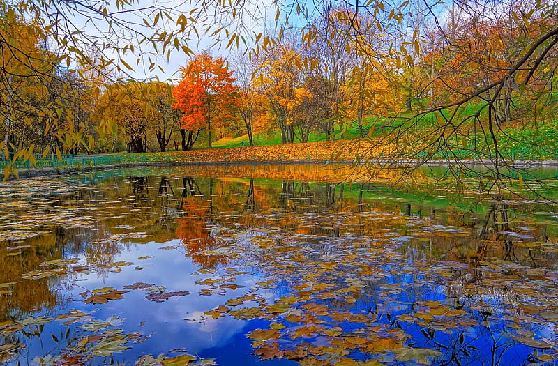Lake of the Leaves grass, background, firs, nice, gold, multicolor landscapes, paisage, tranquil, white, ambar, bonito, seasons, leaves, roots, green, amber, scenery, blue, lakes, maroon, paisagem, day, nature reflected, branches, pc, scene, wonderful, orange, yellow, clouds, cenario, calm, scenario, splendor, beauty, forests, morning, rivers, lovely, paysage, time, cena, golden, trees, pines, lagoons, sky, panorama, water, cool, serenity, awesome, hop, fullscreen, colorful, autumn, brown, gray, wonder, laguna, trunks graphy, grasslands, grove, mirror, amazing multi-coloured, view, colors, leaf, serene, plants, peaceful, colours, reflections, natural, HD wallpaper