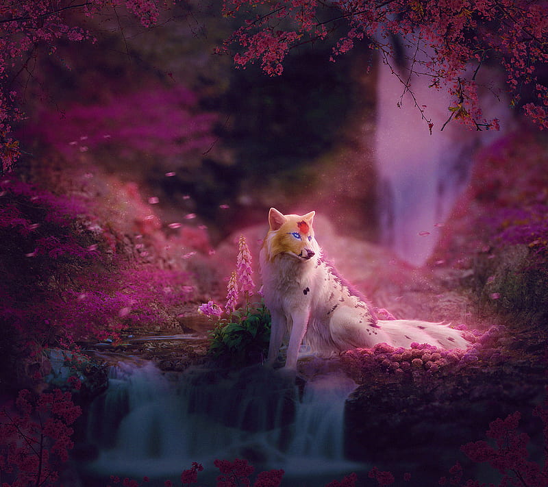 Fox Colorful Art, fox, artist, artwork, digital-art, HD wallpaper