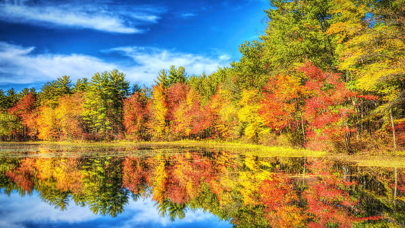 Autumn at a lake near Nashua, New Hambshire, leaves, fall, colors ...
