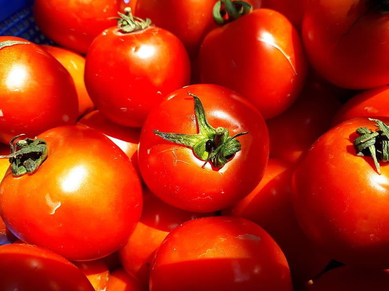 Red Tomato, pure, HD wallpaper
