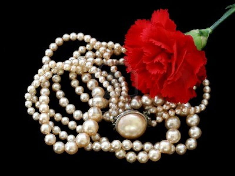 pearls and carnation, red, graphy, flower, pearls, carnation, HD wallpaper