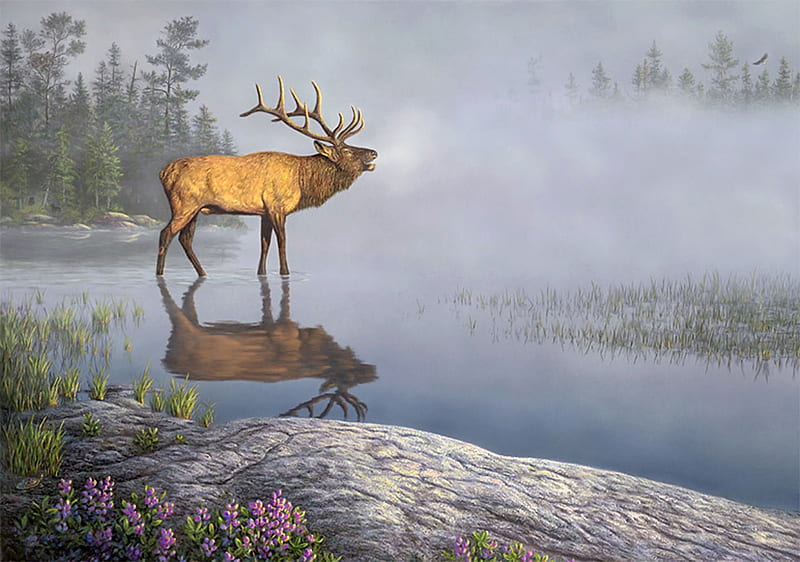 Bugle Boy, forest, lake, buck, mist, HD wallpaper