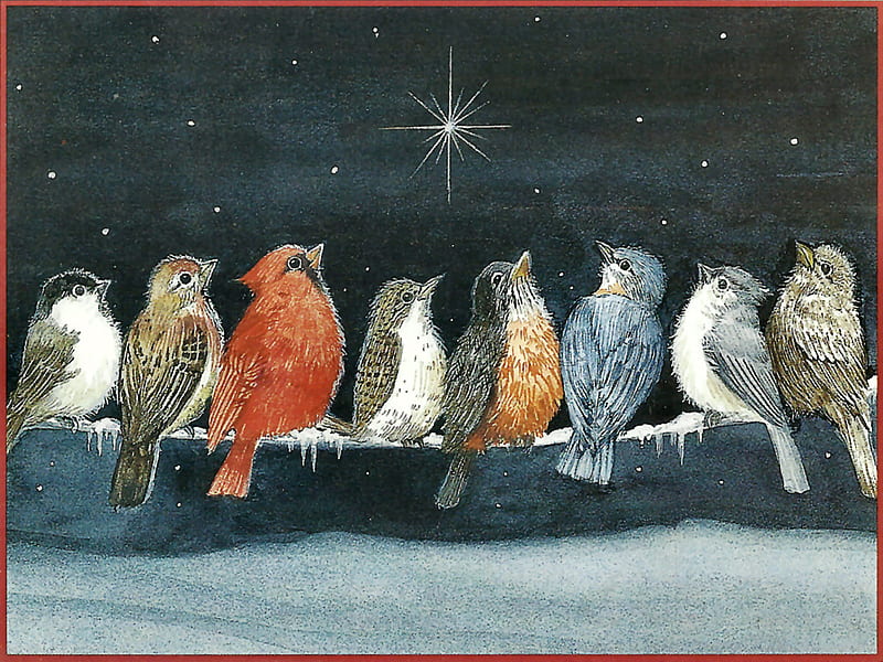 Silent Wonder - Birds F2C, robin, artwork, heath, bluebird, house finch, chickadee, painting, sparrow, scenery, art, winter, titmouse, marian heath, bird, snow, avian, wildlife, junco, cardinal, HD wallpaper