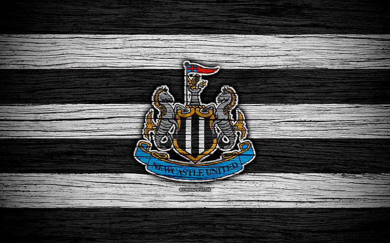 Newcastle United Premier League, logo, England, wooden texture, NUFC, FC Newcastle United, soccer, football, Newcastle United FC, Newcastle Utd, HD wallpaper