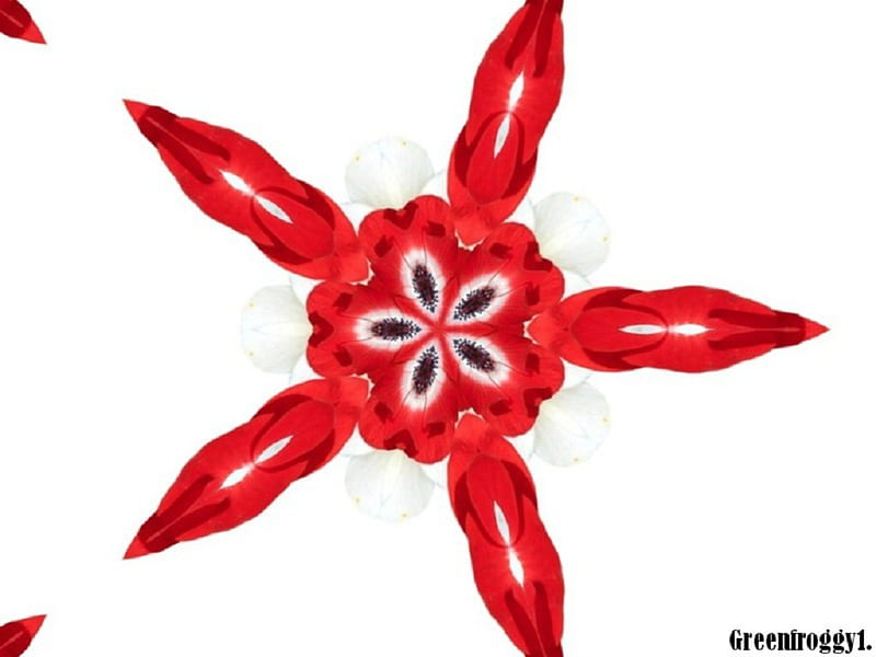 Free Download FIVE SIDED STAR STAR SIDES ABSTRACT FIVE HD 