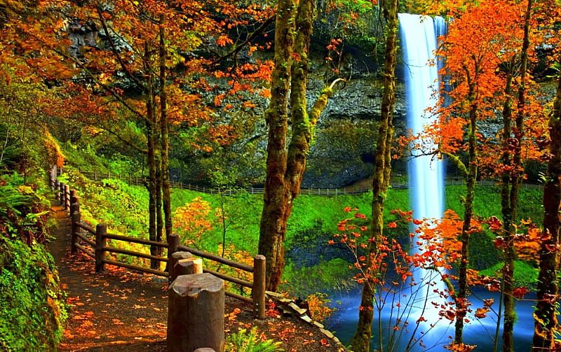 1080P free download | --Waterfall in Autumn--, colorful, autumn ...