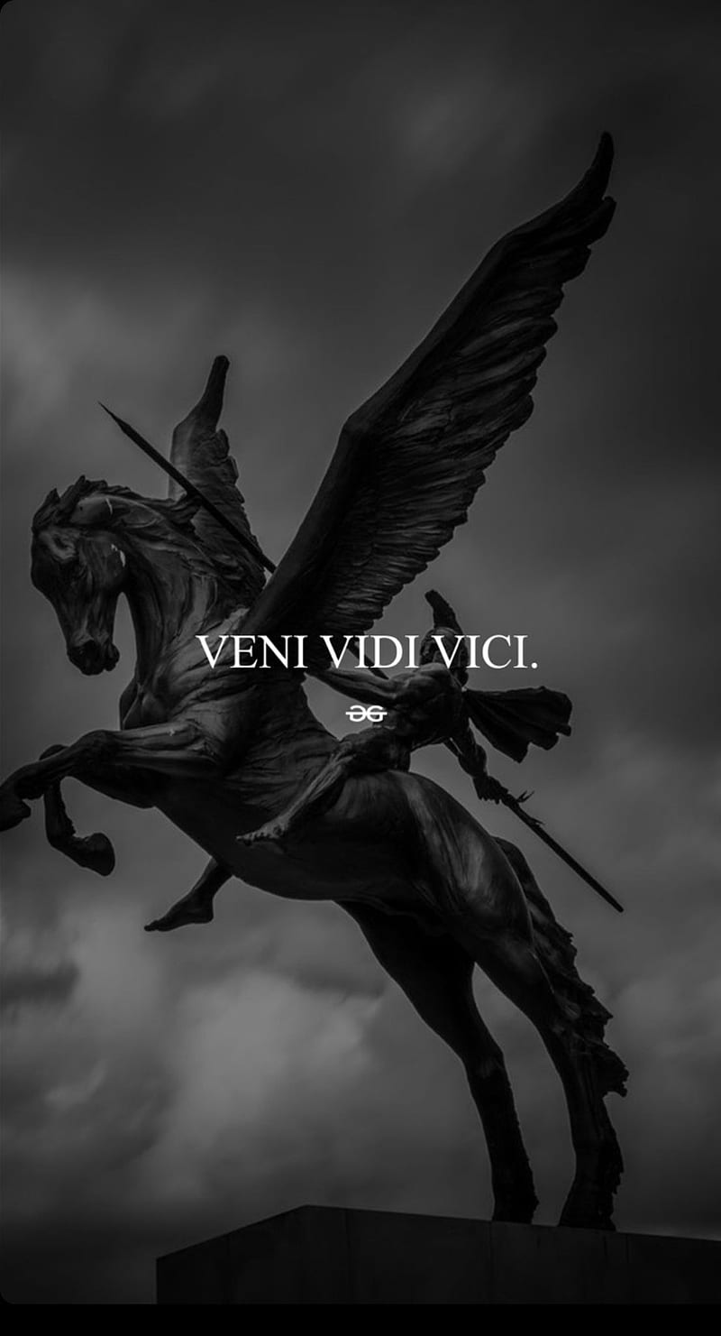 Free download Sturdy Veni Vidi Vici Gen Wallpaper By Furiion52 D6r4wew Veni  Vidi 1920x1080 for your Desktop Mobile  Tablet  Explore 20 Vini Vici  Wallpapers 