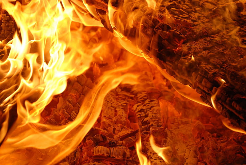 Burning Logs, warm, forceofnature, orange, burning, yellow, fire, flames, logs, hot, nature, wood, night, HD wallpaper