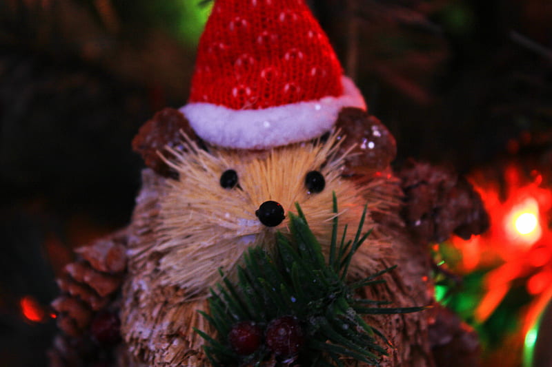Merry Merry Hedgehog, Christmas, Backlit, Decoration, Hedgehog, HD wallpaper