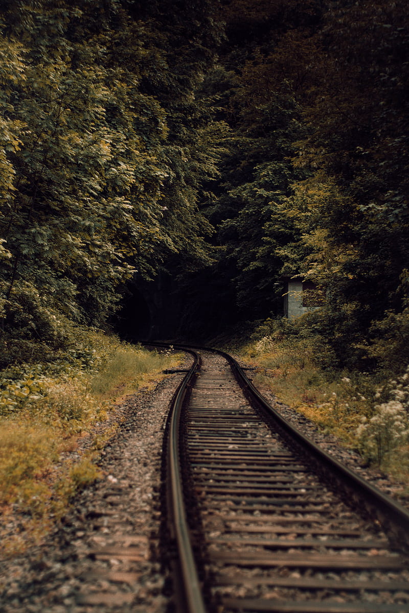 Rails, jungle, mountain, railroad, road, track, tracks, train, HD phone wallpaper