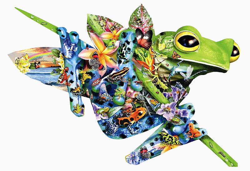 Frog, fantasy, green, white, creative, blue, HD wallpaper