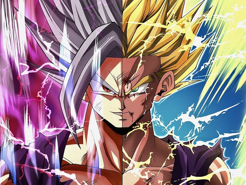 Gohan Evolution!! Wallpaper : r/DragonballLegends