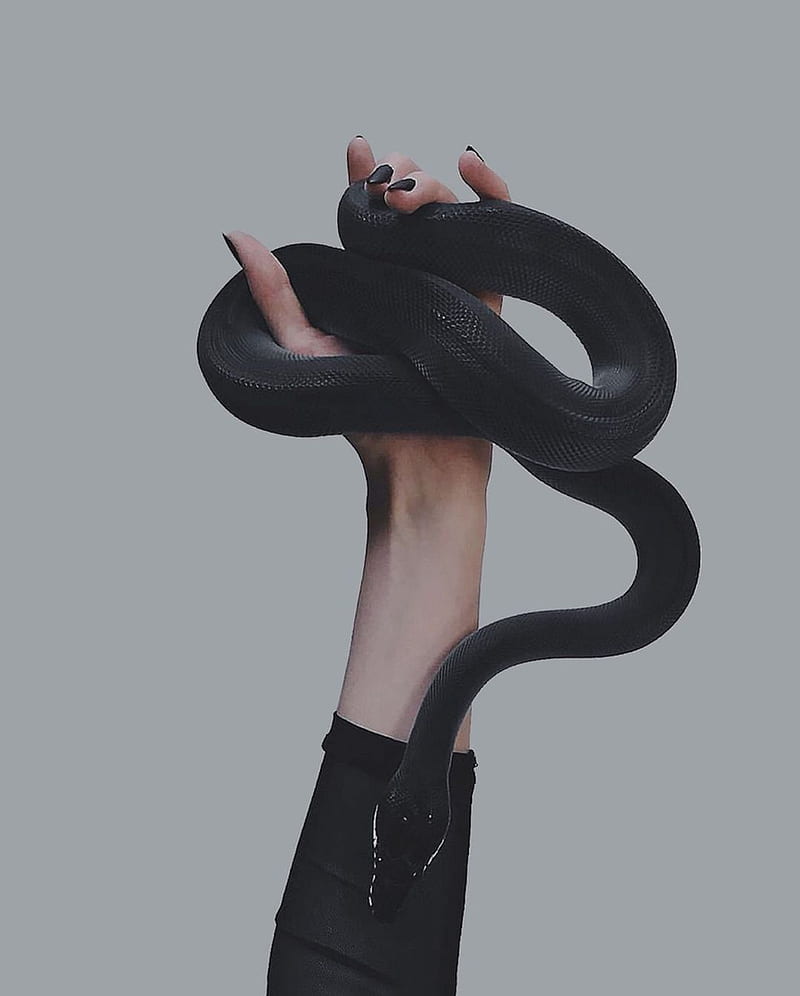 Share 60 black snake wallpaper latest  incdgdbentre