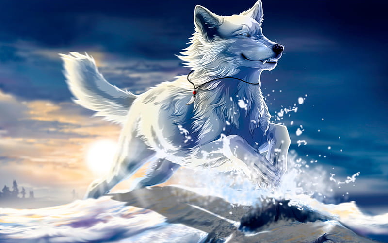 White Wolf, fantasy, ice, wolf, white, animal, HD wallpaper
