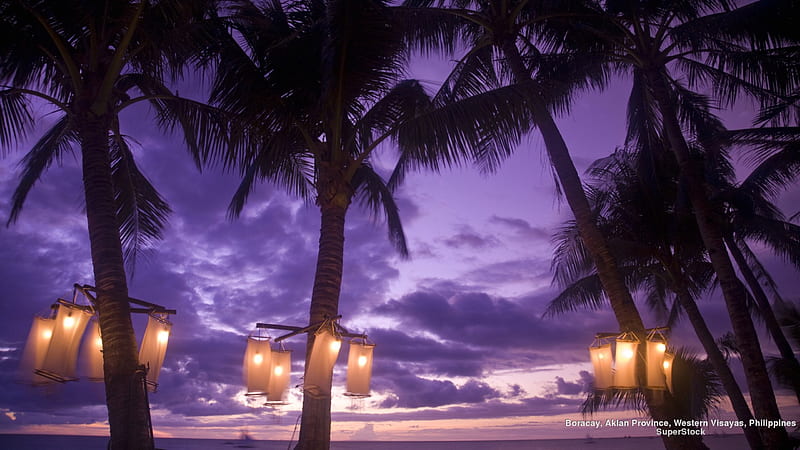 Nighttime at Tropical Beach, beaches, night, lights, palms, HD wallpaper