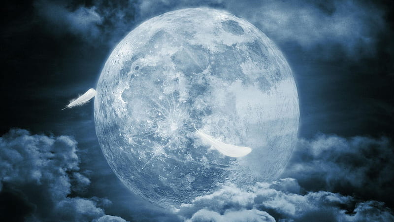 Full Moon - Bayonetta, moon, full, bayonetta, clouds, feathers, HD wallpaper