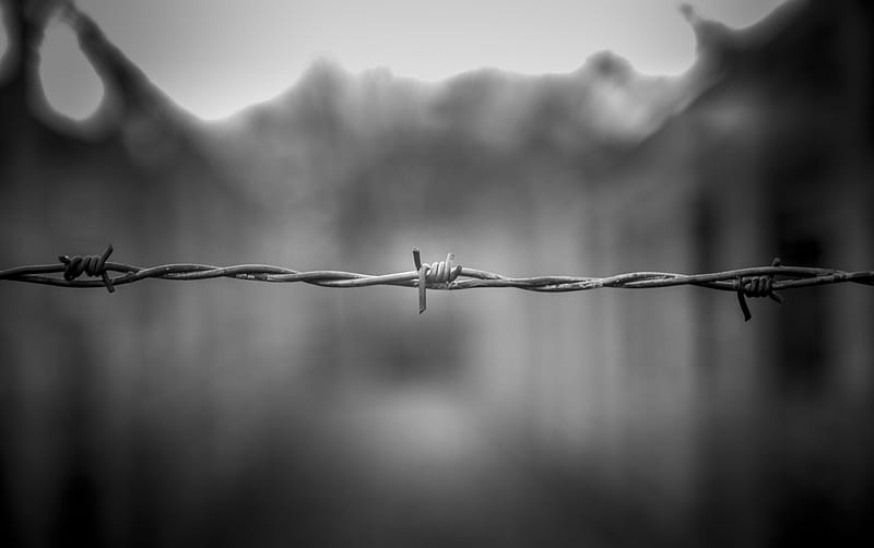 barbed wire, thorns, black and white, blur, HD wallpaper