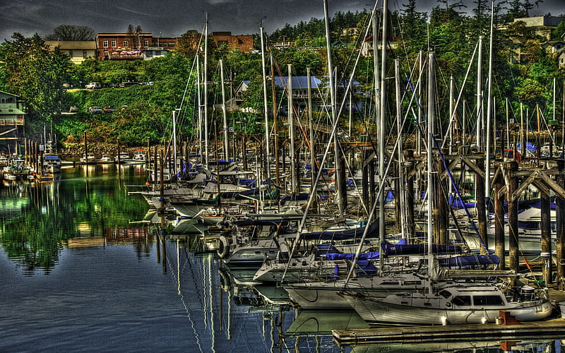 FRIDAY HARBOR, dlbdata, washington, r, sailboat, david bolt, harbor, HD wallpaper