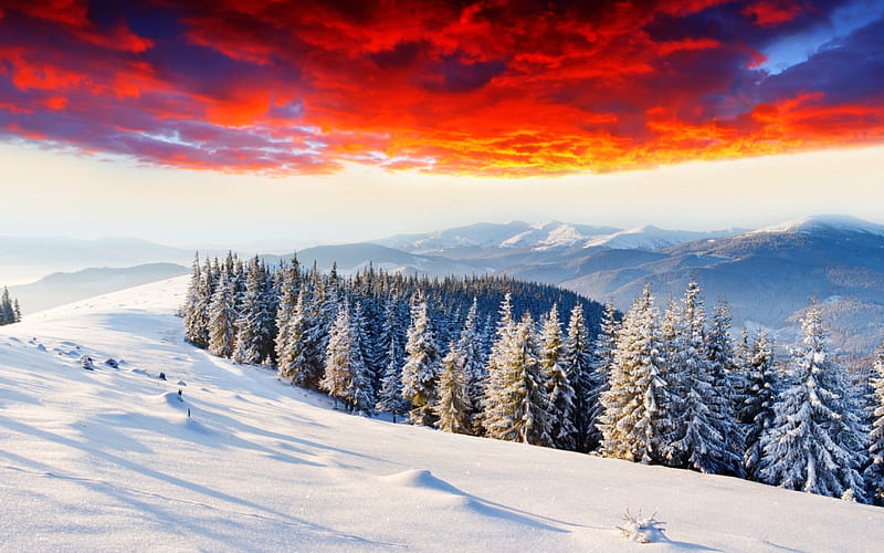 Beautiful Winter, bonito, sunset, magic, clouds, snowy, magic winter ...
