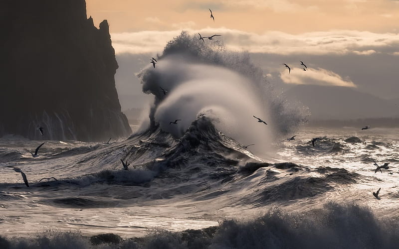 sunrise, big wave, storm, coast, sea, waves, seagulls, HD wallpaper